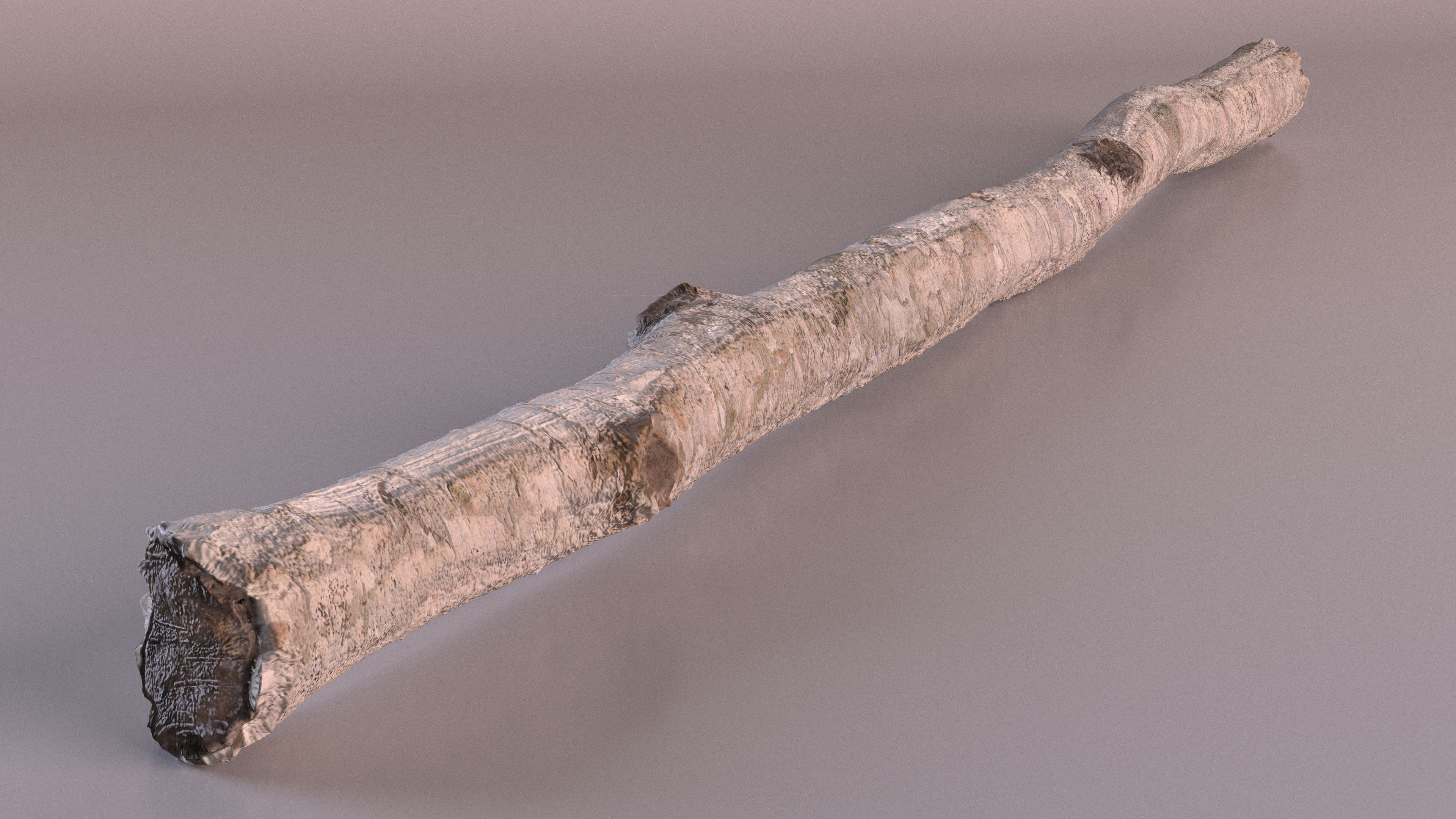 3D White Birch Poles Set