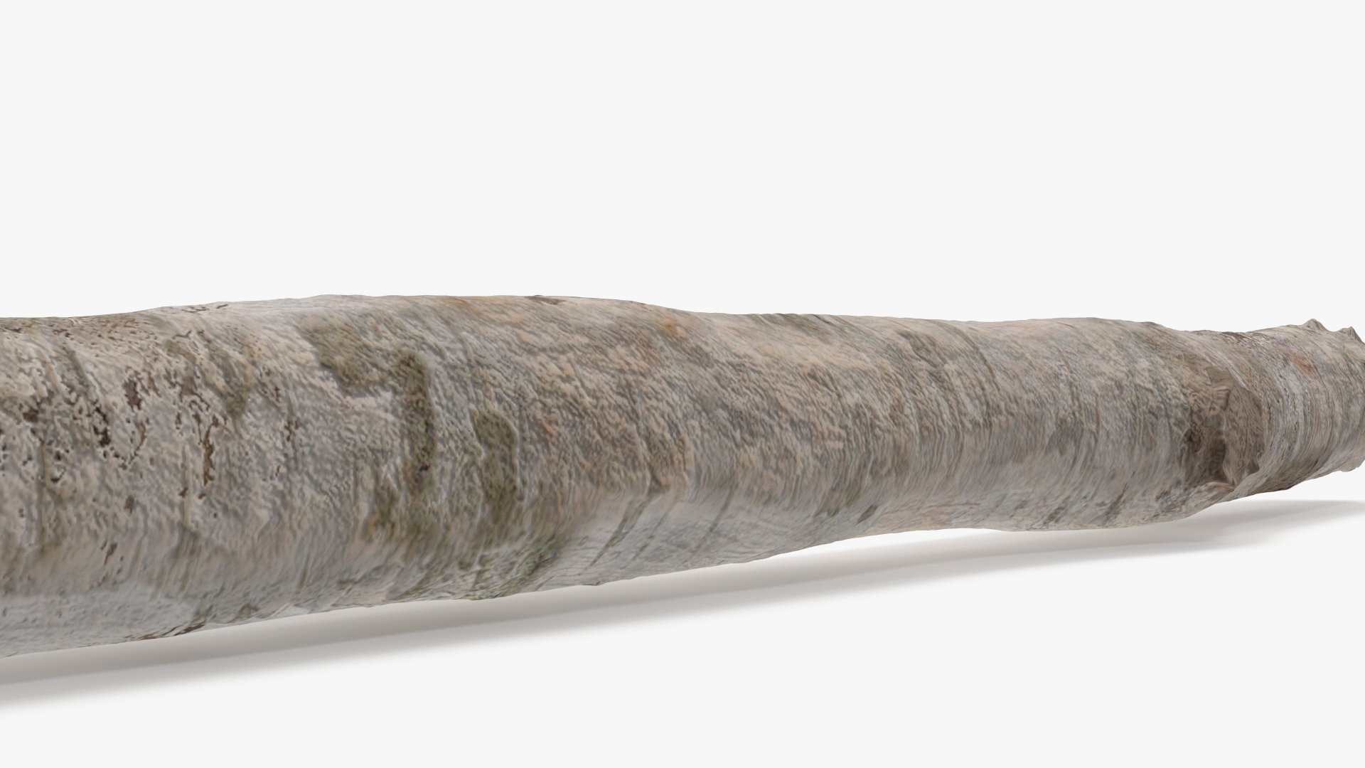 3D White Birch Poles Set
