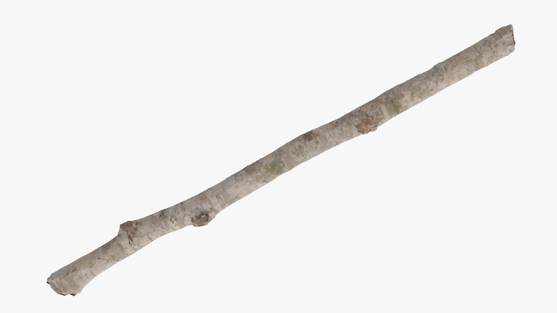 3D White Birch Poles Set