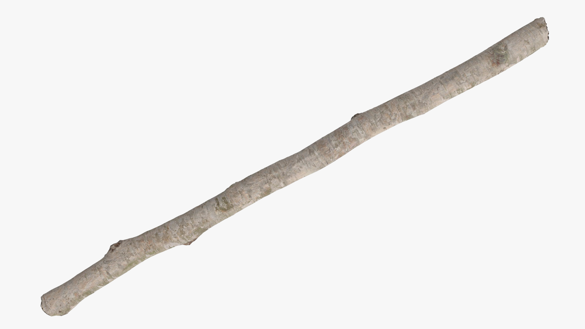 3D White Birch Poles Set
