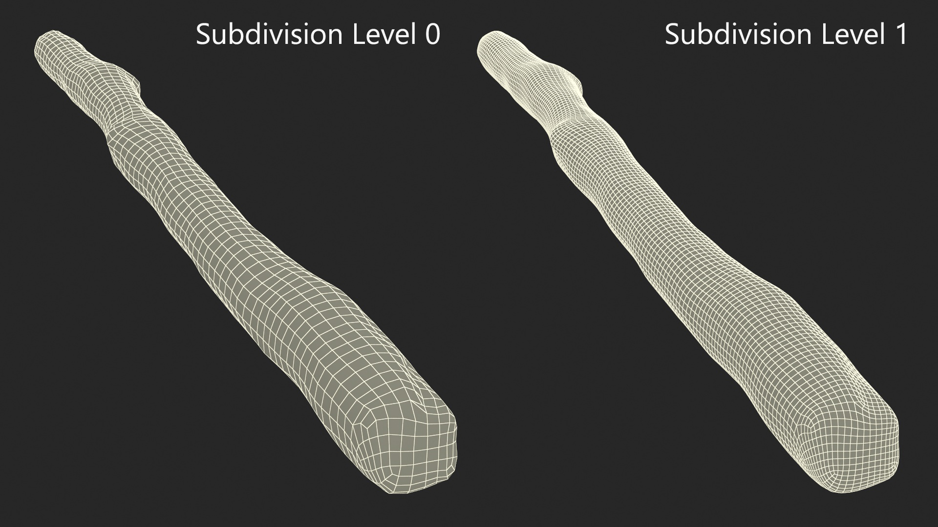 3D White Birch Poles Set