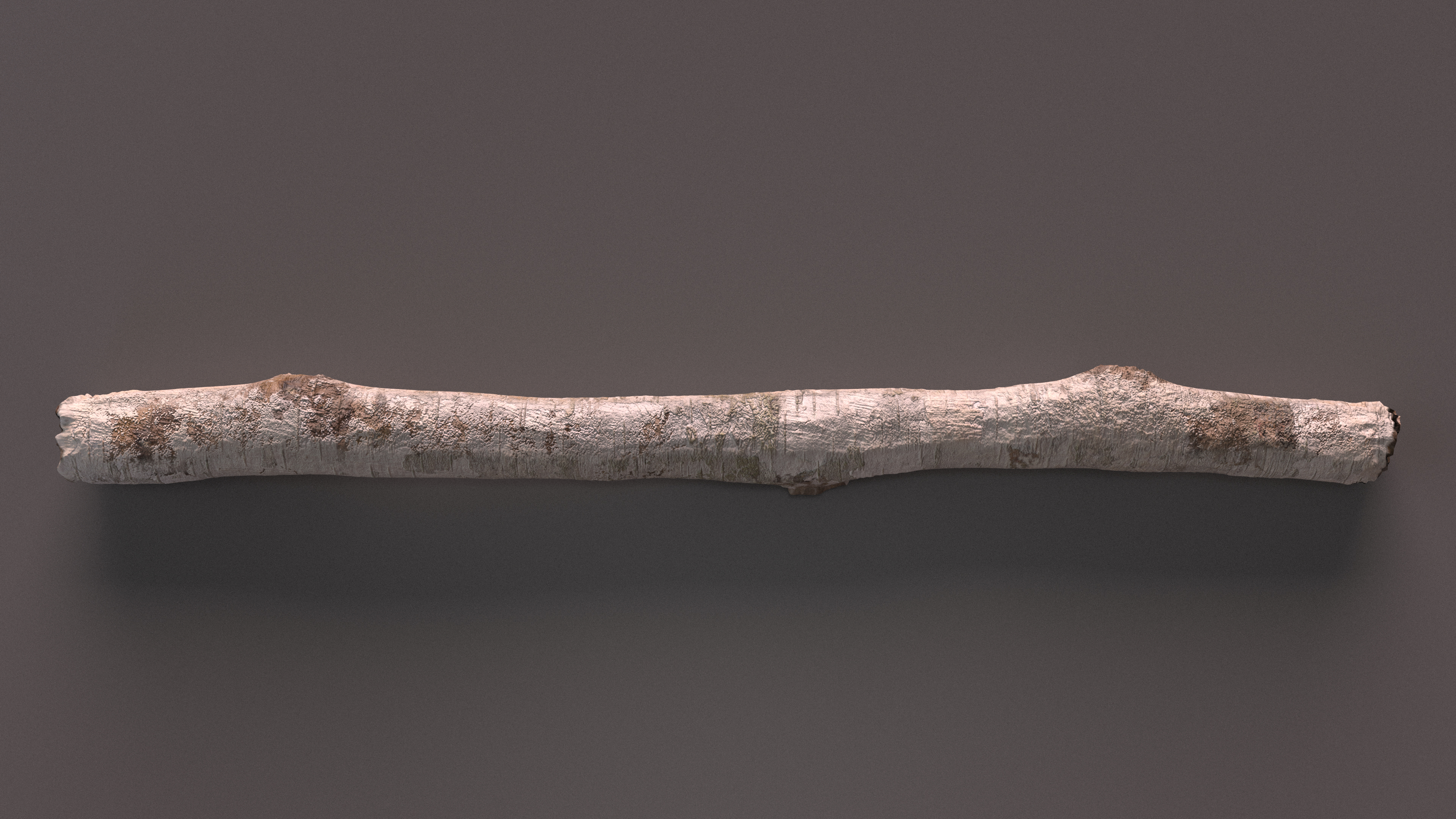3D White Birch Poles Set