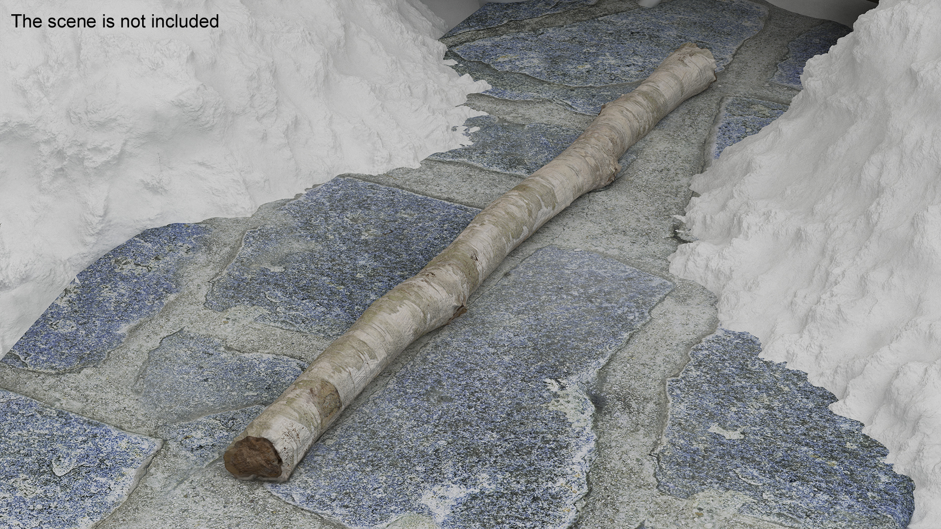 3D White Birch Poles Set