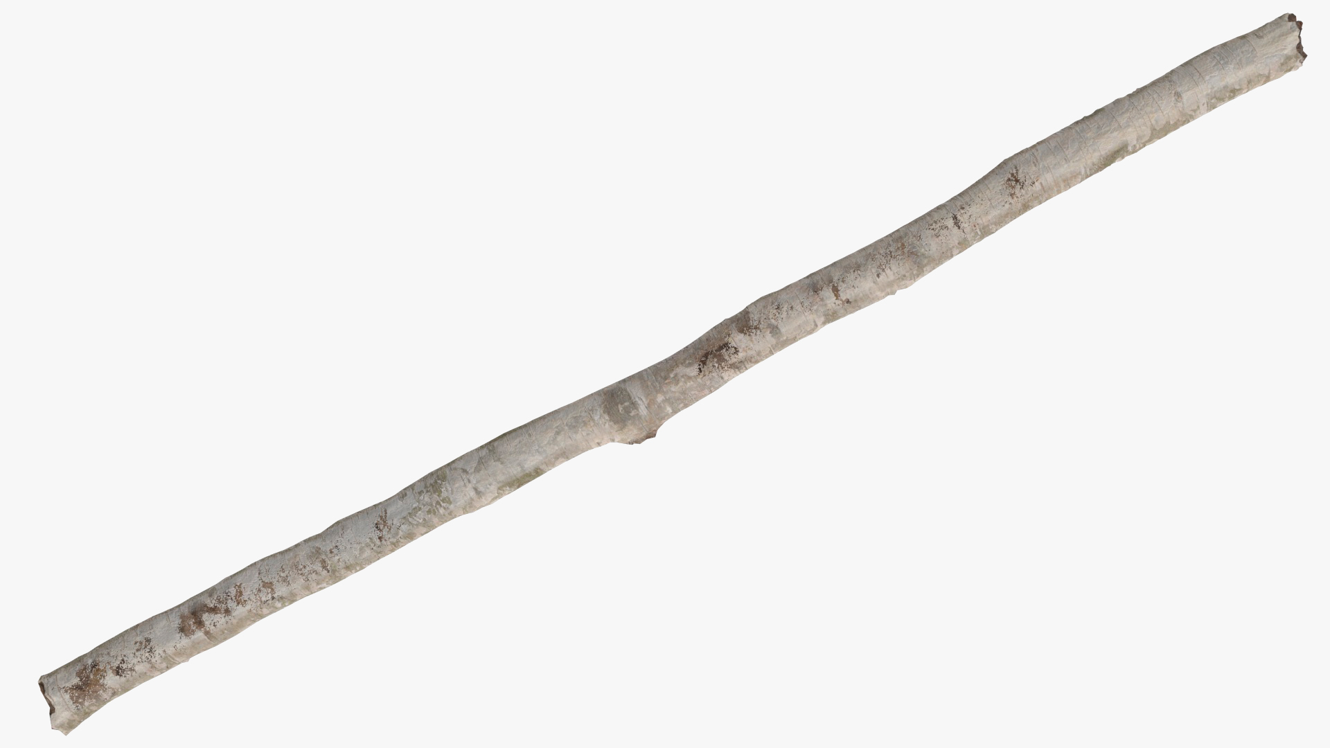 3D White Birch Poles Set