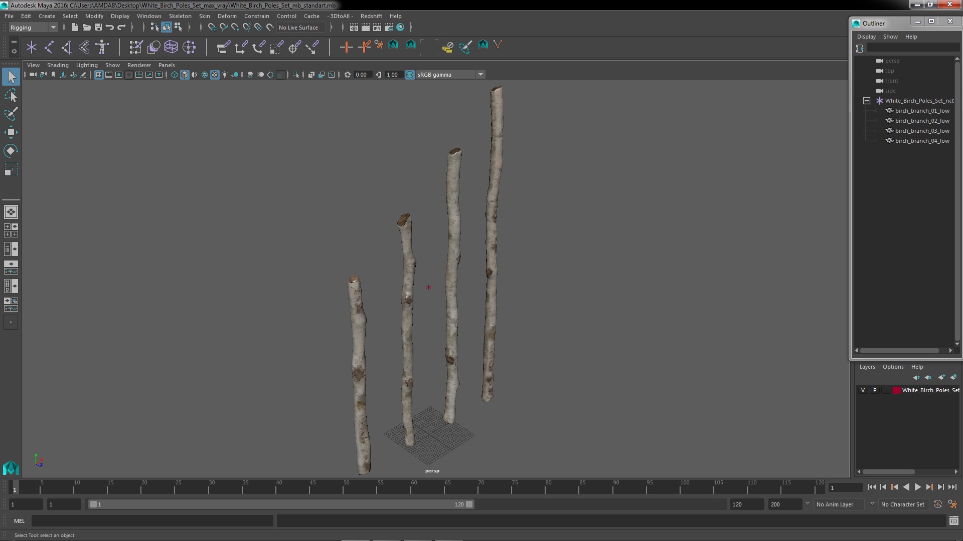 3D White Birch Poles Set