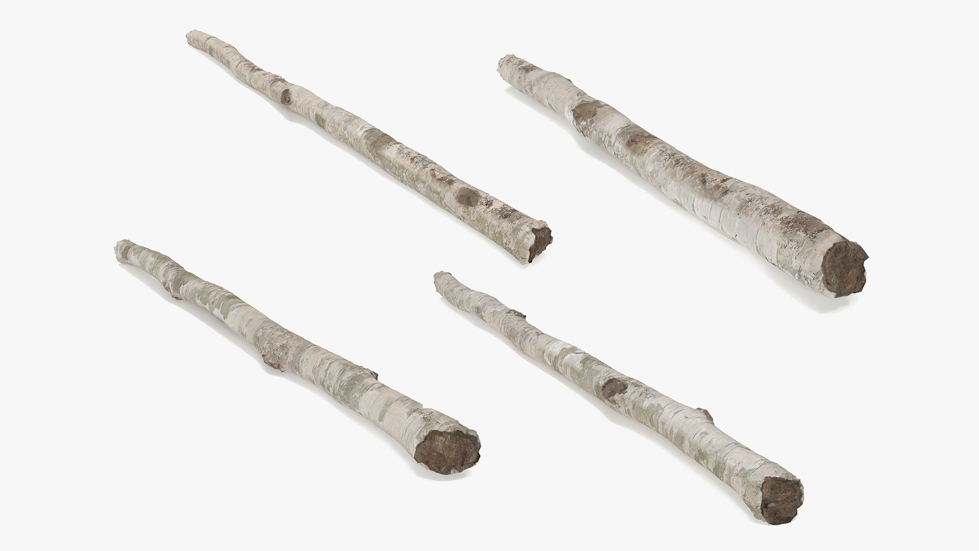 3D White Birch Poles Set