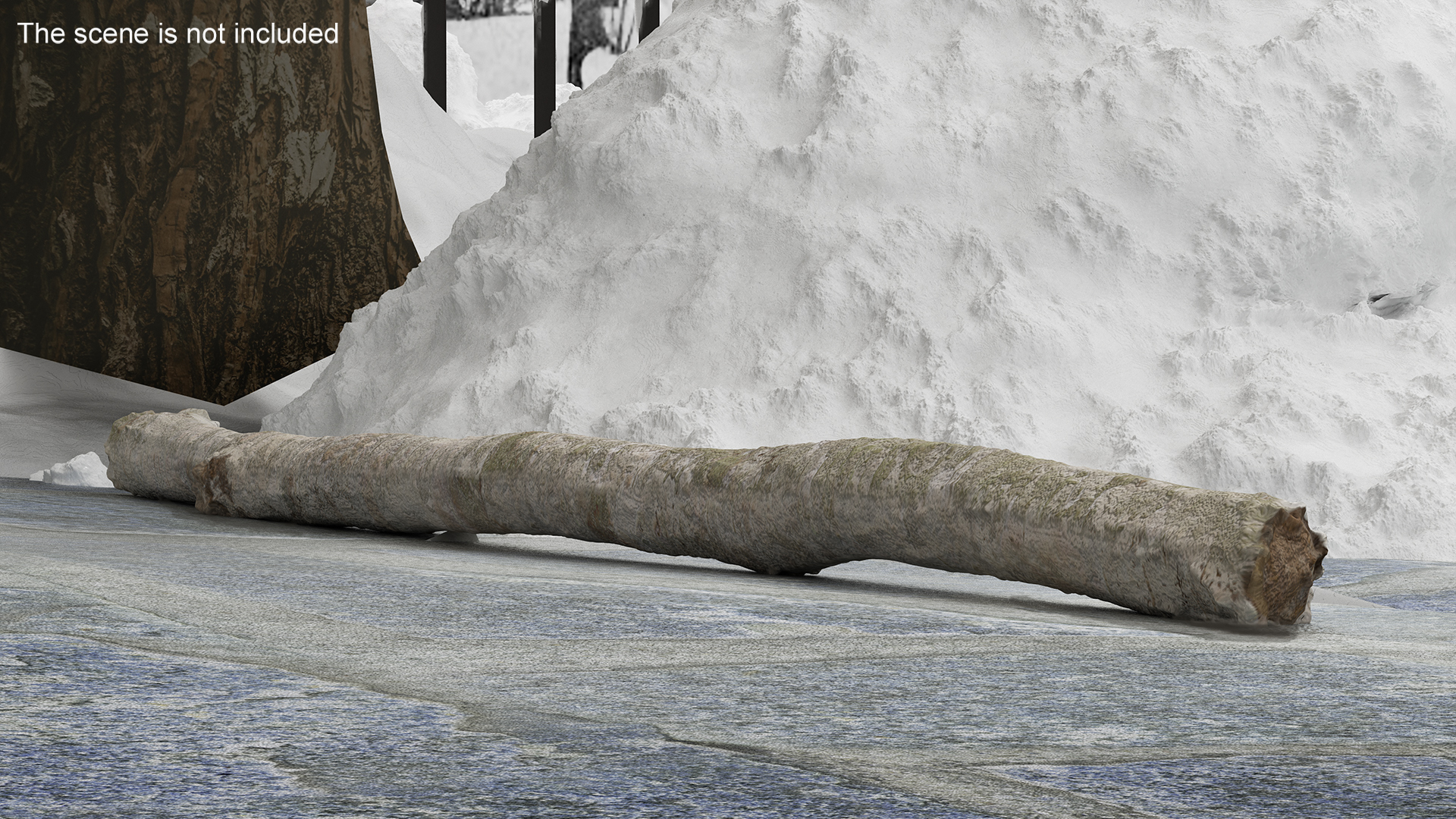 3D White Birch Poles Set