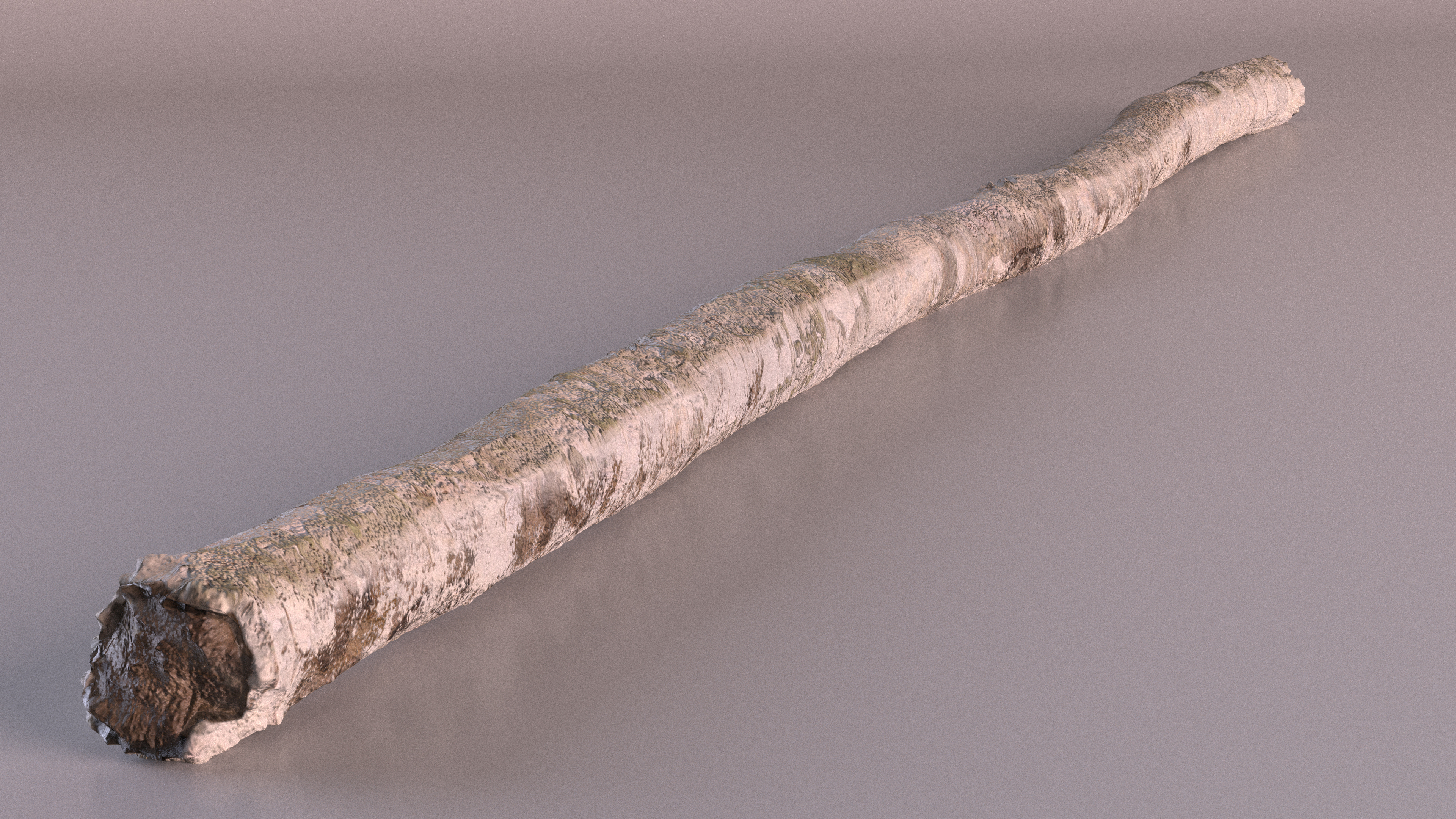 3D White Birch Poles Set