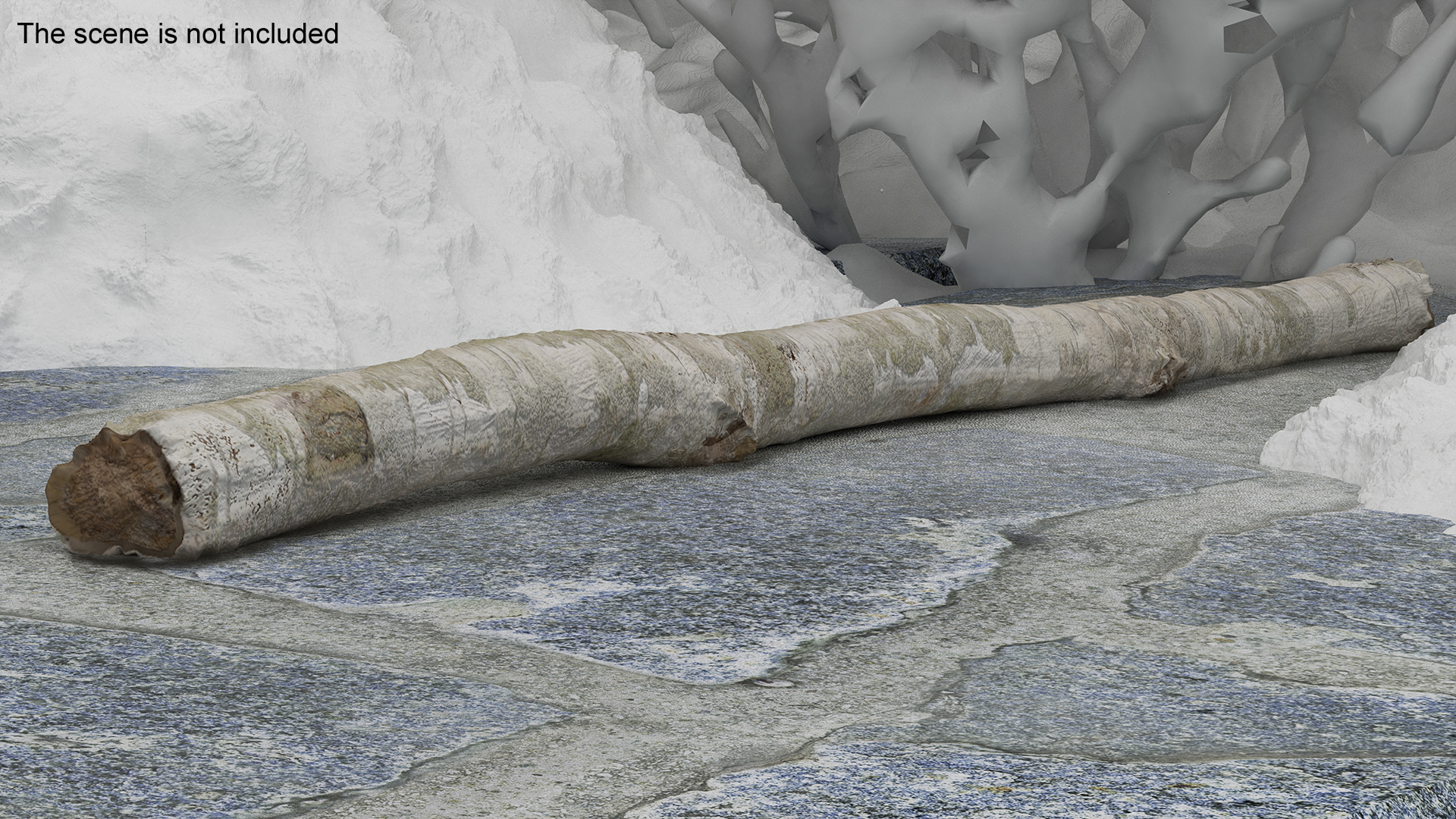 3D White Birch Poles Set