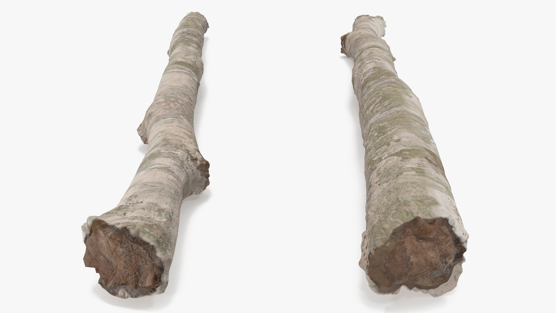 3D White Birch Poles Set