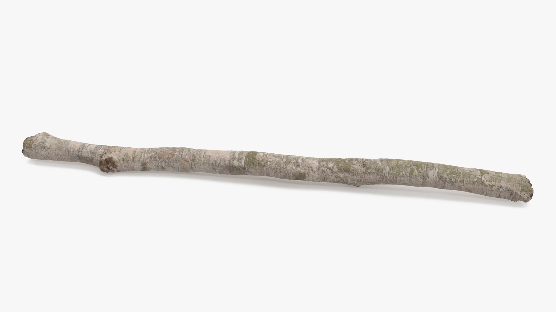 3D White Birch Poles Set
