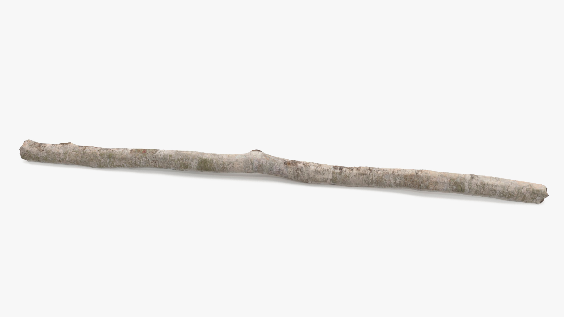 3D White Birch Poles Set