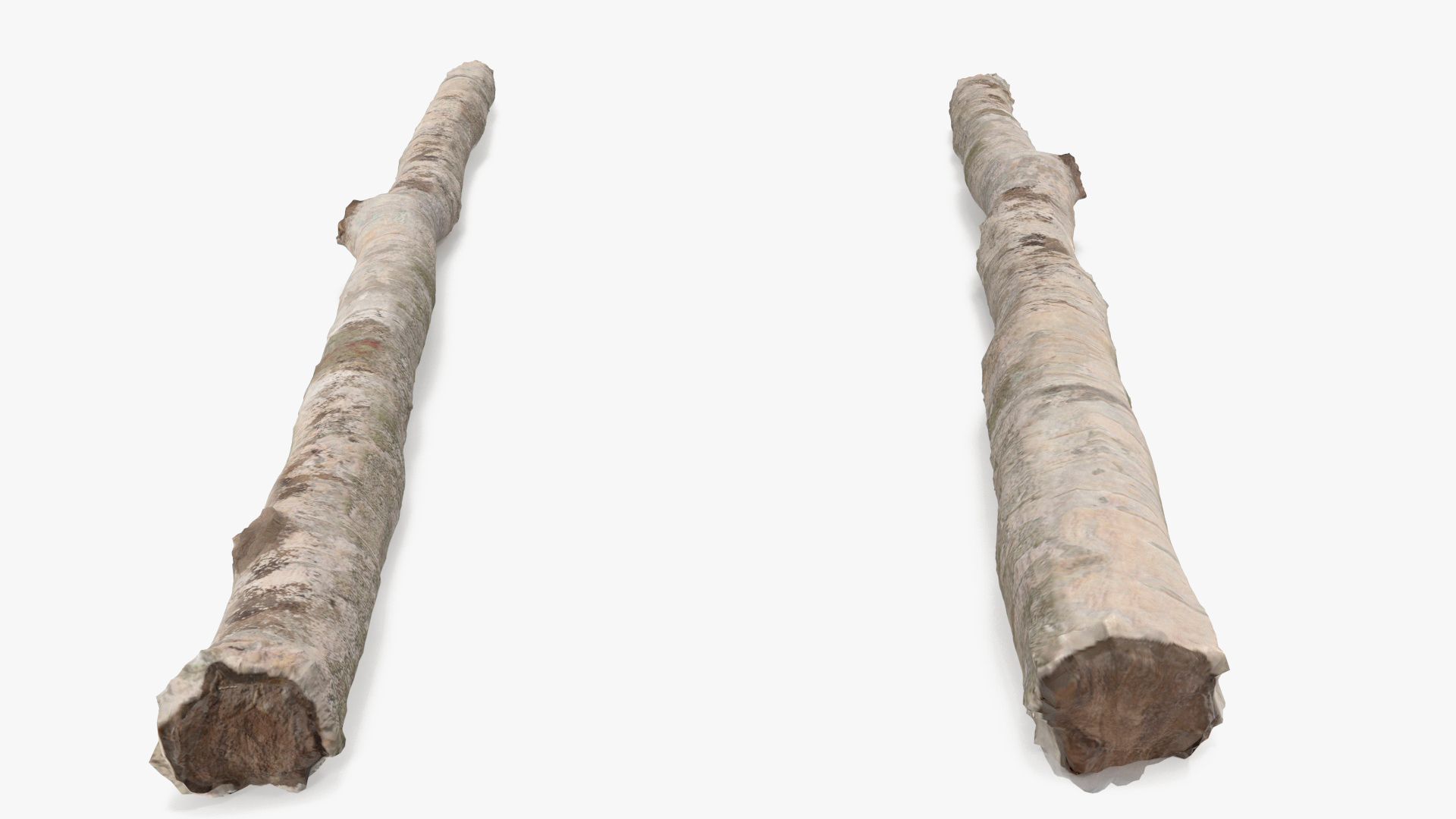 3D White Birch Poles Set