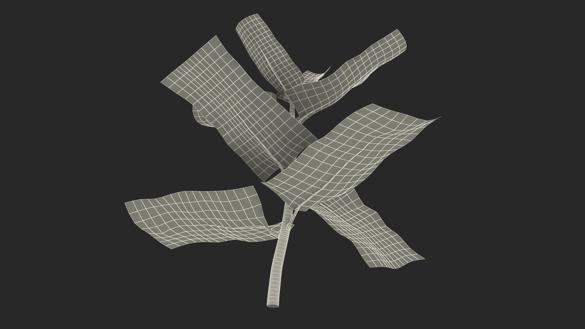 Plant Sprout 3D