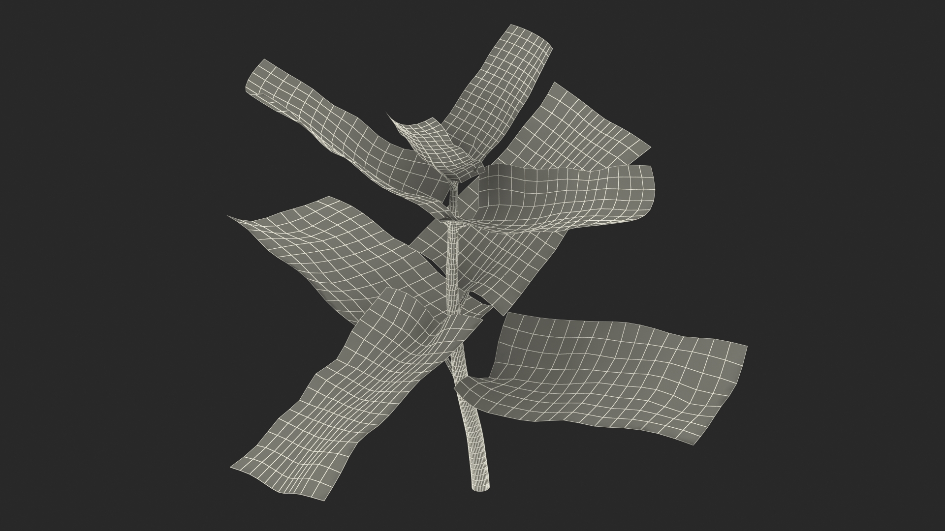 Plant Sprout 3D