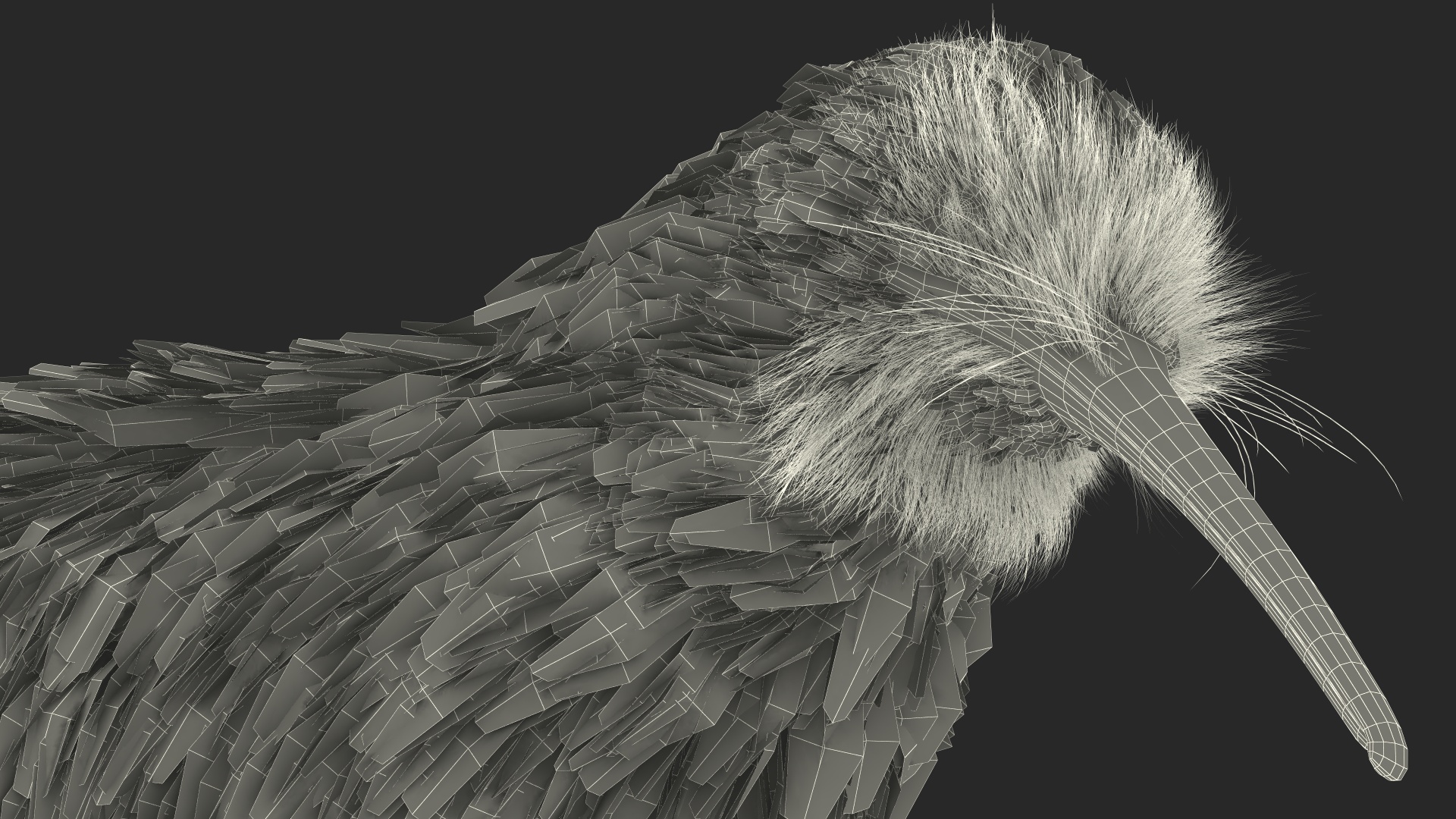 Run Pose Kiwi Bird Fur 3D