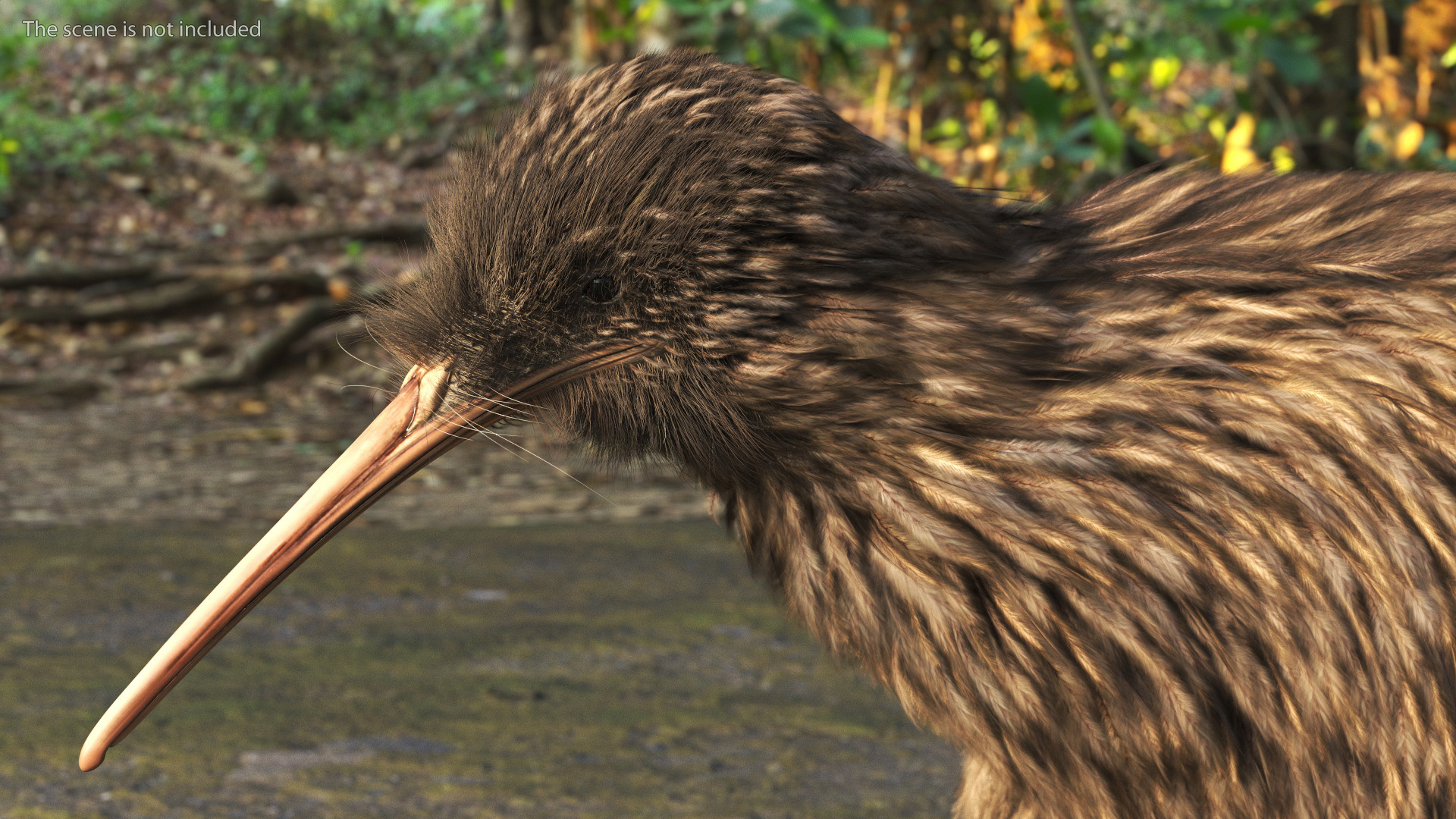 Run Pose Kiwi Bird Fur 3D