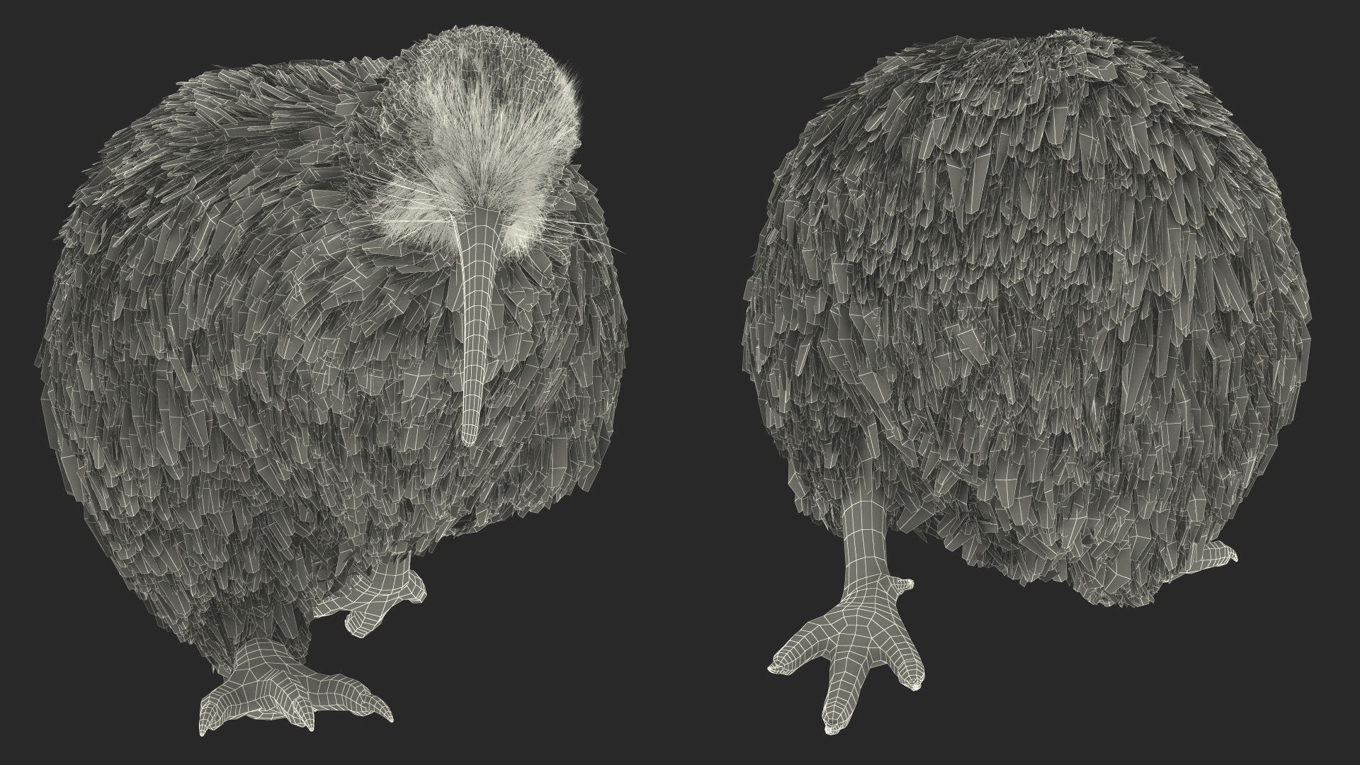 Run Pose Kiwi Bird Fur 3D