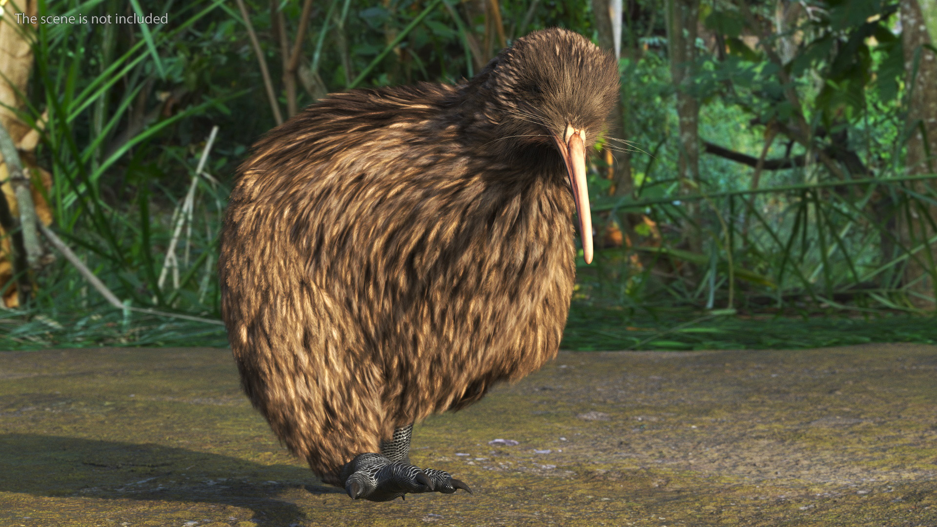 Run Pose Kiwi Bird Fur 3D