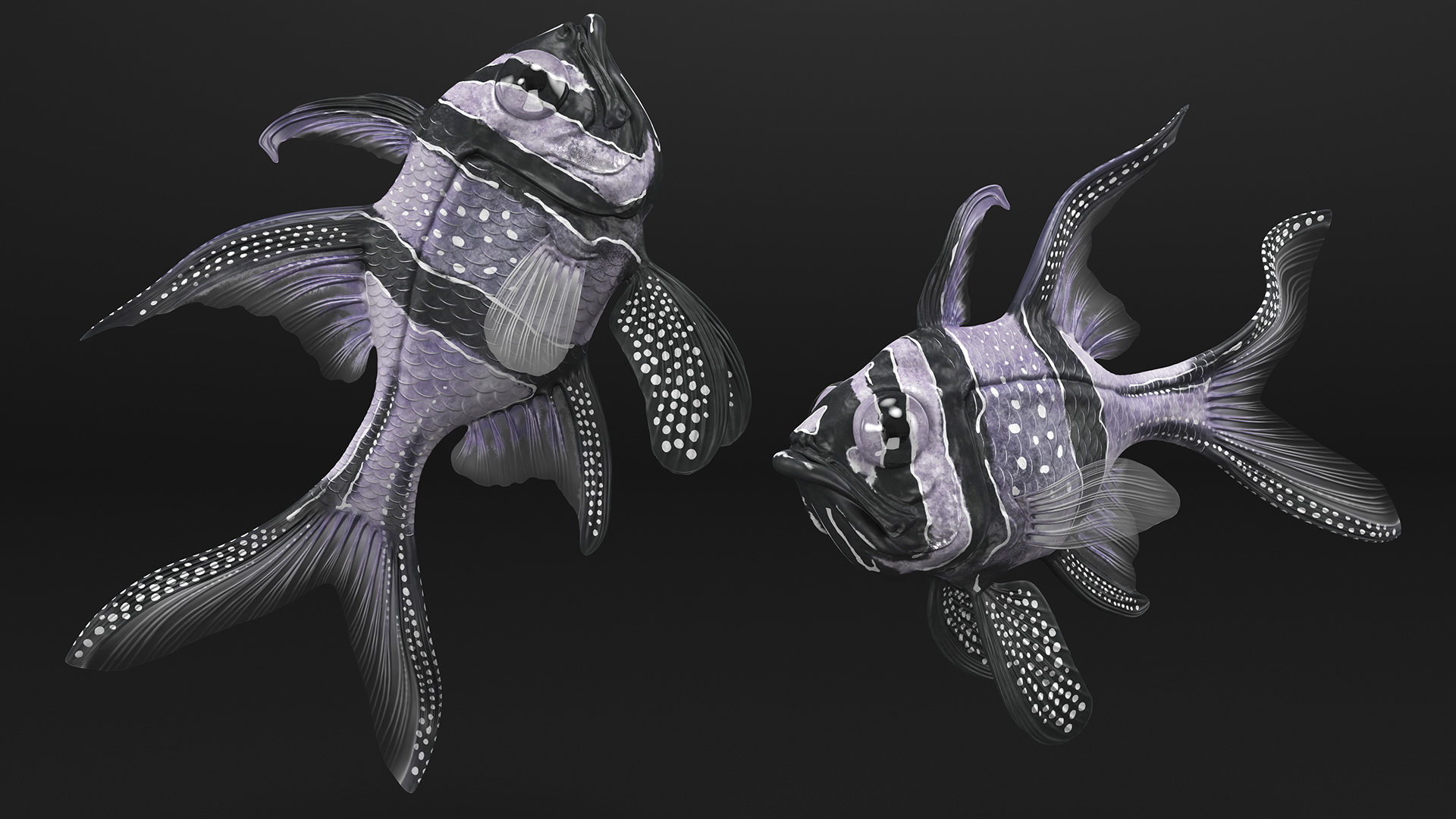 Longfin Cardinalfish Rigged 3D