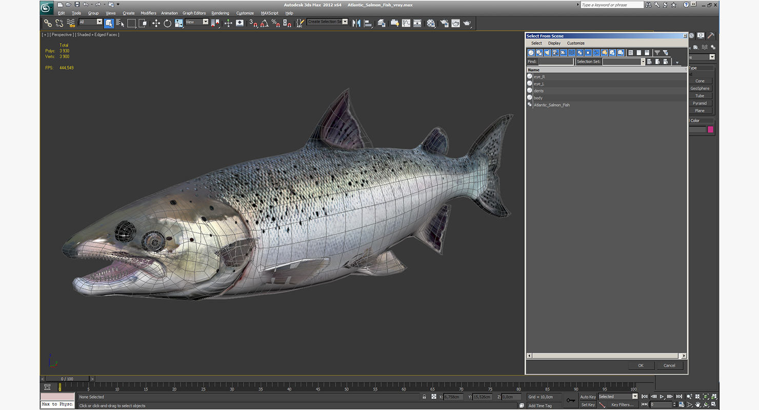 3D model Atlantic Salmon Fish