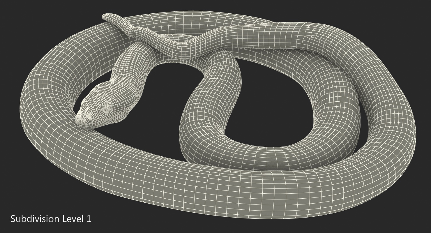 3D model Green Python Snake Curled pose