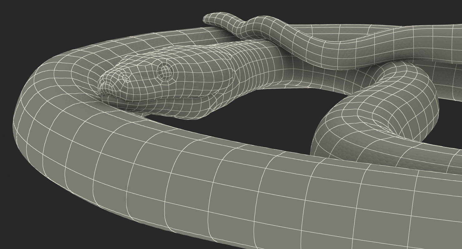 3D model Green Python Snake Curled pose