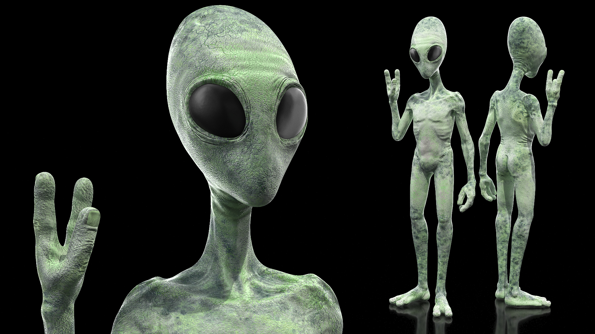 3D model Green Alien Greeting Pose