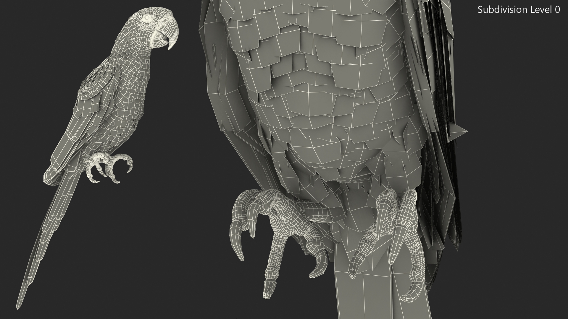 Red and Green Macaw Parrot Sitting Pose 3D model