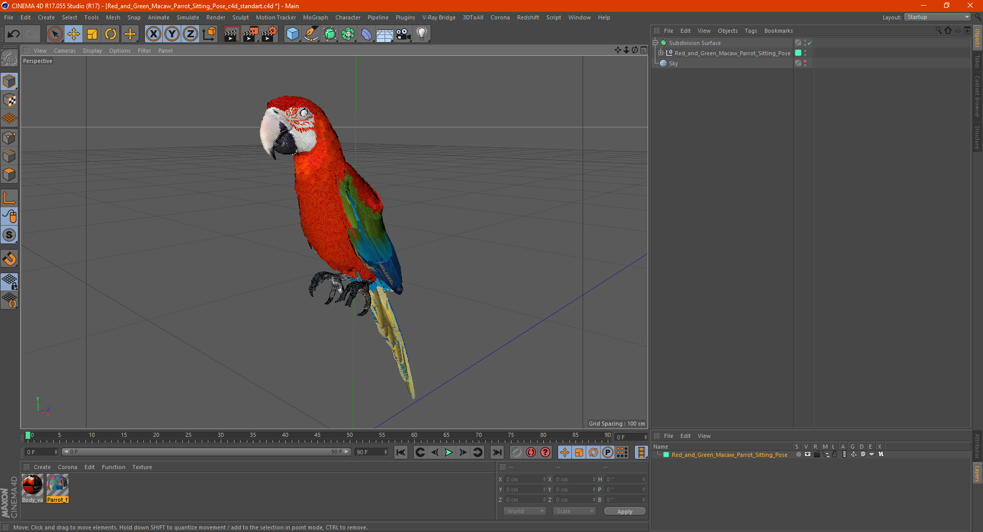 Red and Green Macaw Parrot Sitting Pose 3D model