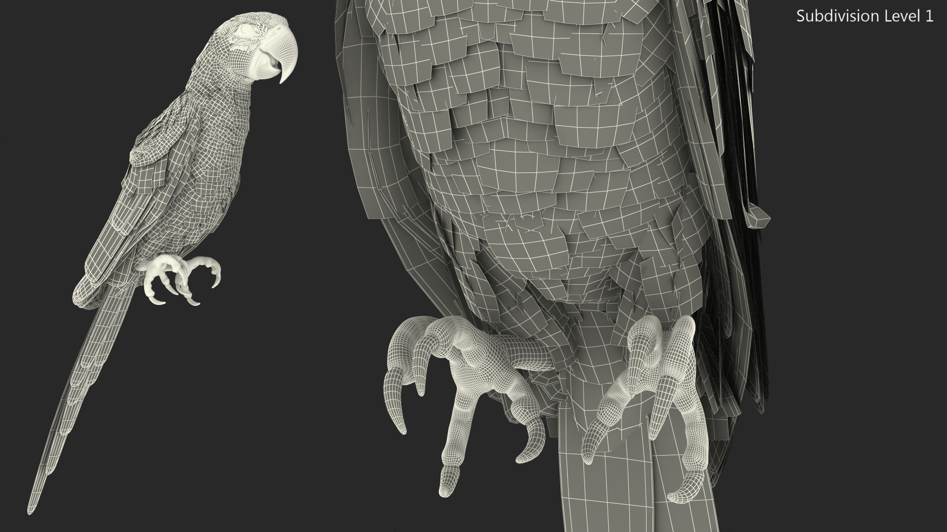 Red and Green Macaw Parrot Sitting Pose 3D model