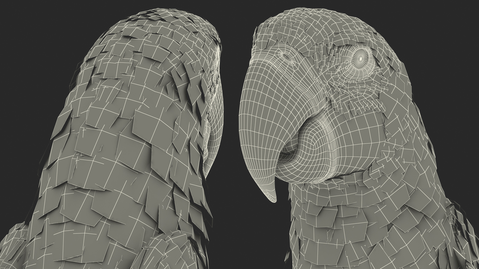 Red and Green Macaw Parrot Sitting Pose 3D model