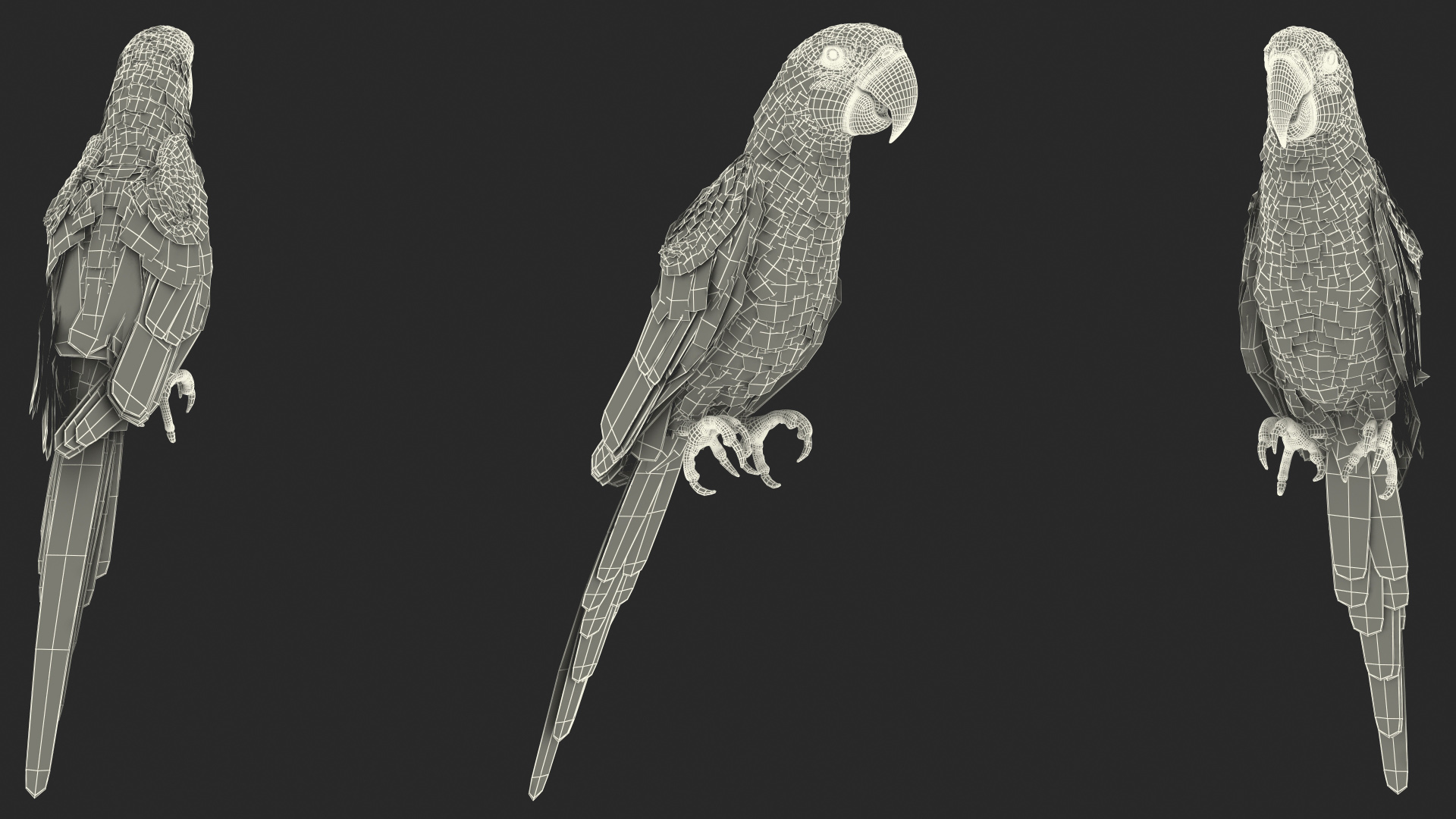Red and Green Macaw Parrot Sitting Pose 3D model