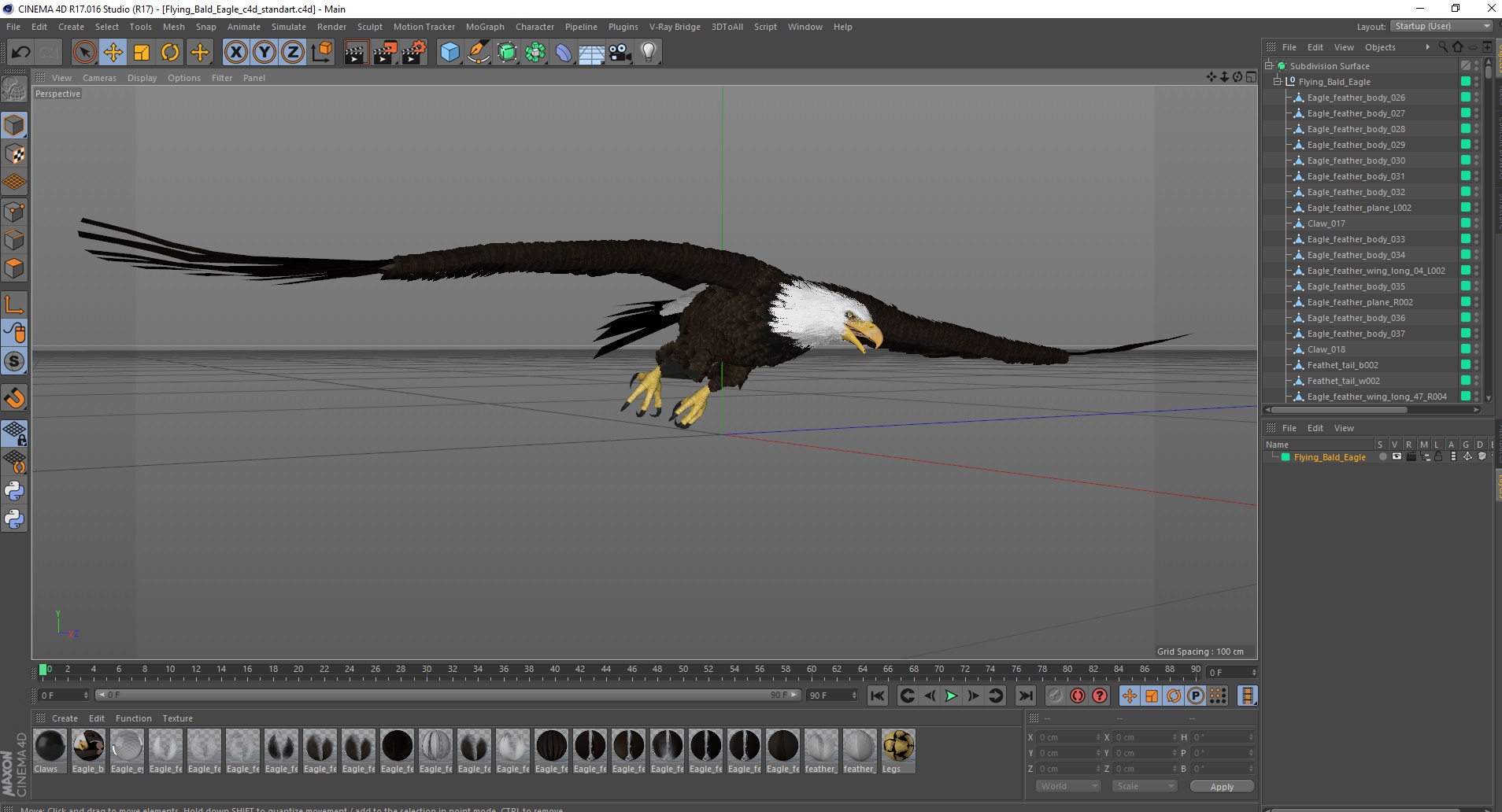 Flying Bald Eagle 3D