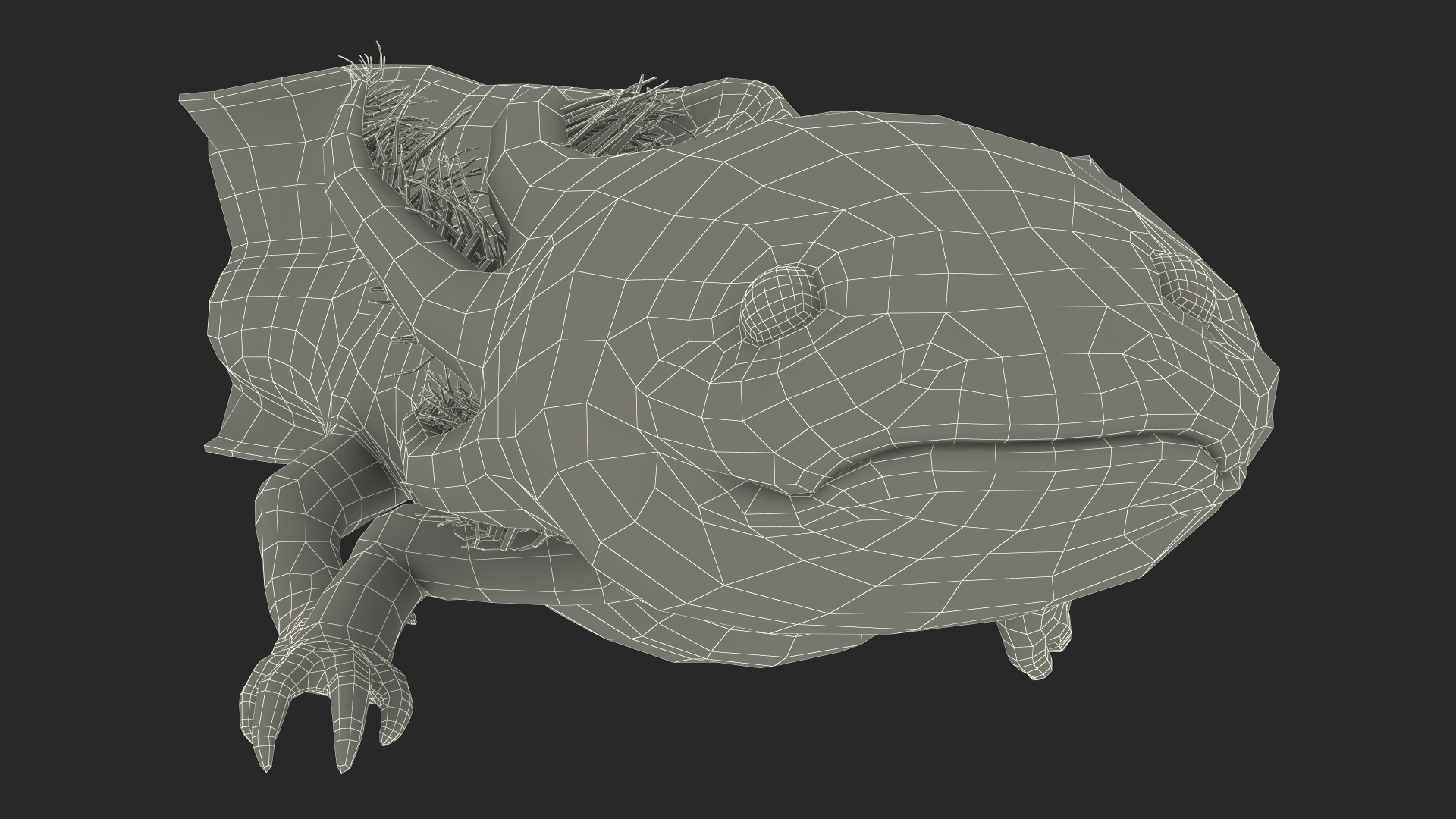 Pink Albino Axolotl 3D model
