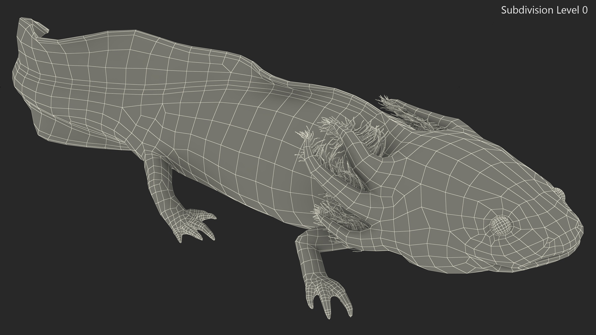 Pink Albino Axolotl 3D model