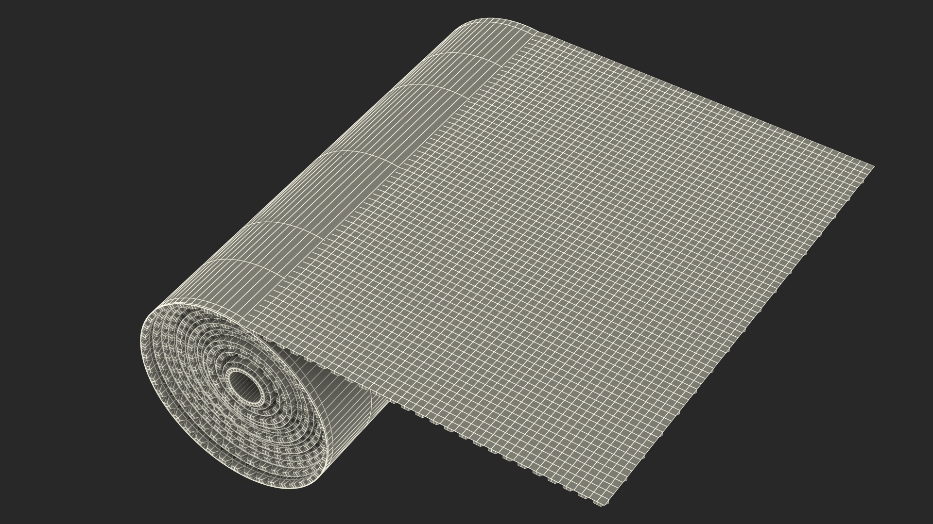 3D Transparent Bubble Wrap Roll Packaging model