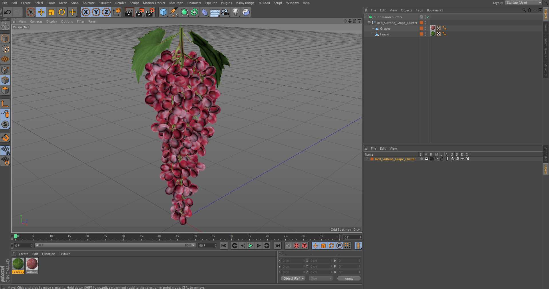 3D model Red Sultana Grape Cluster
