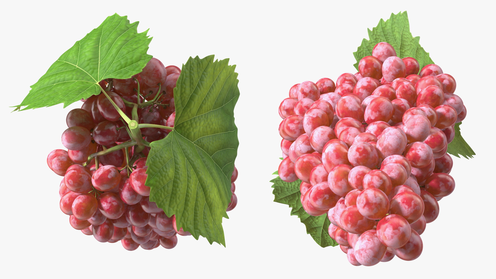 3D model Red Sultana Grape Cluster