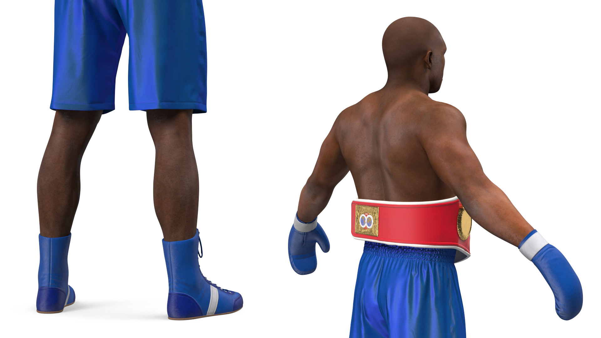 3D International Boxing Federation Champion Rigged for Maya