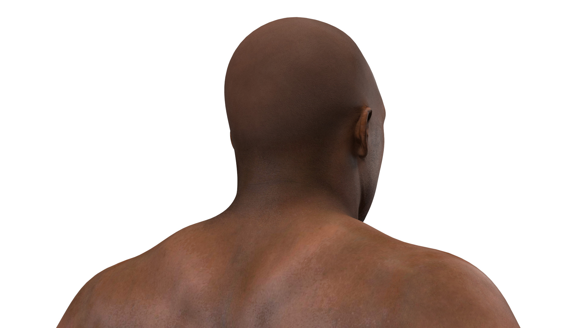 3D International Boxing Federation Champion Rigged for Maya