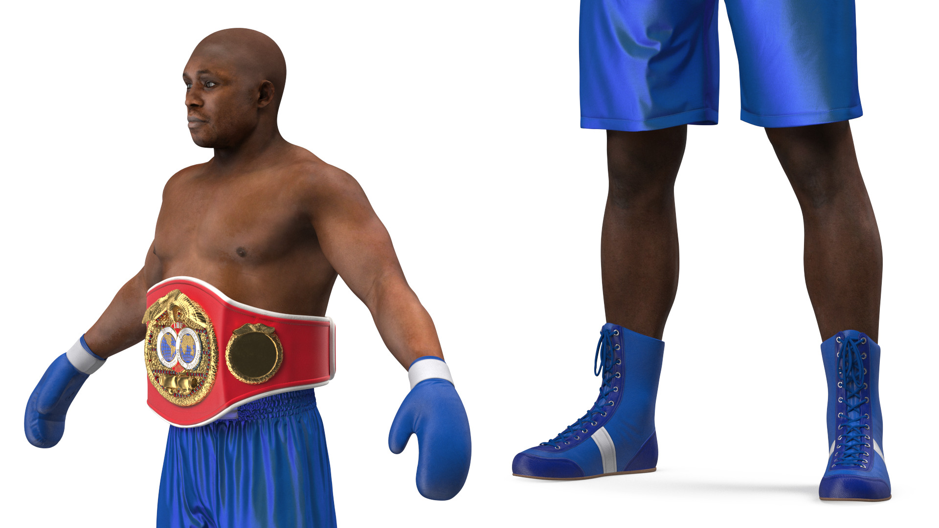 3D International Boxing Federation Champion Rigged for Maya