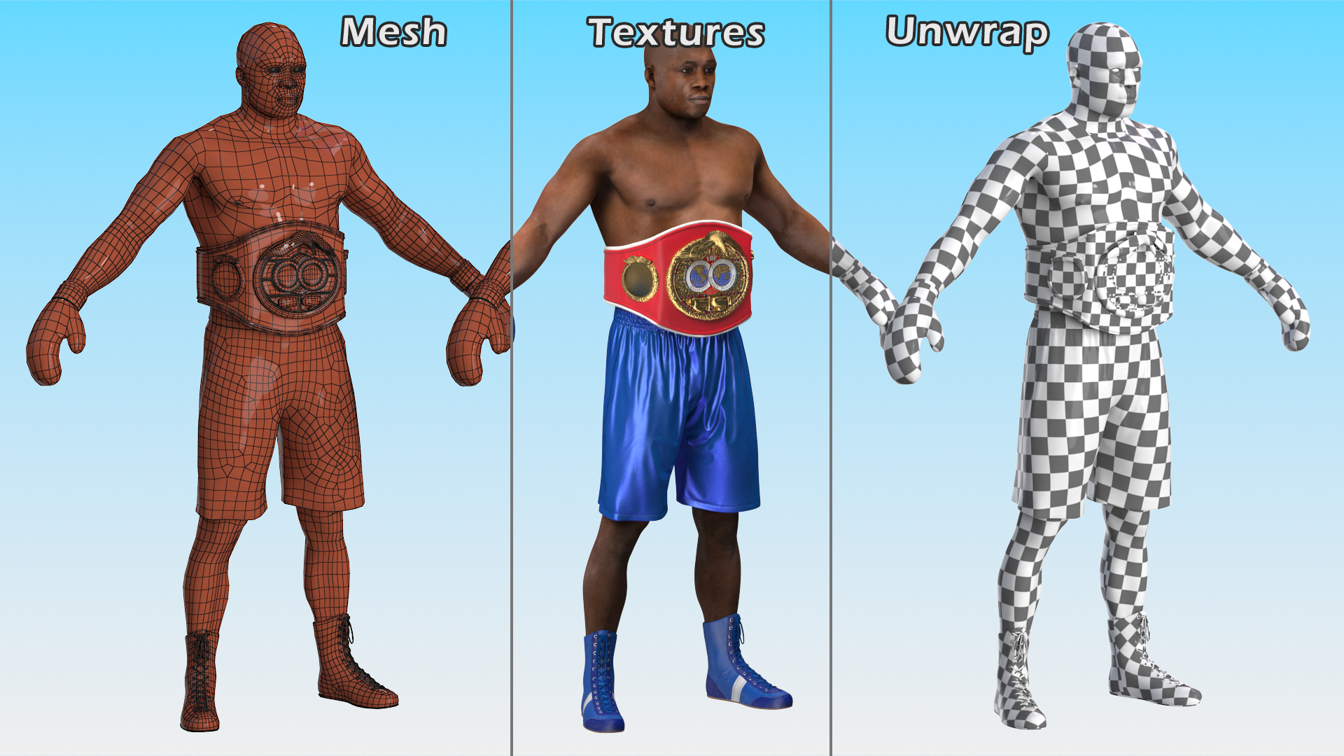 3D International Boxing Federation Champion Rigged for Maya