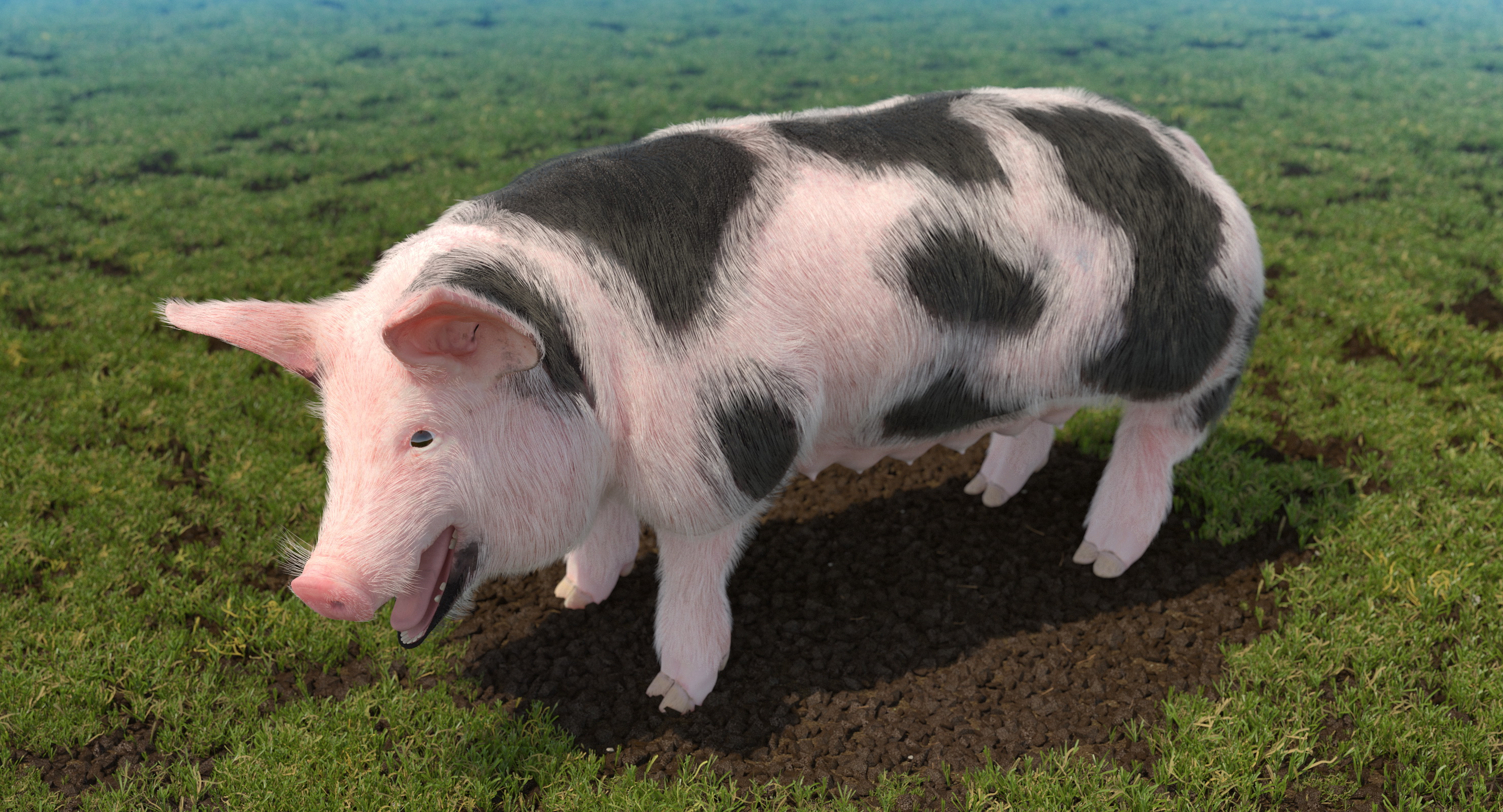 Pig Sow Peitrain Rigged with Fur 3D