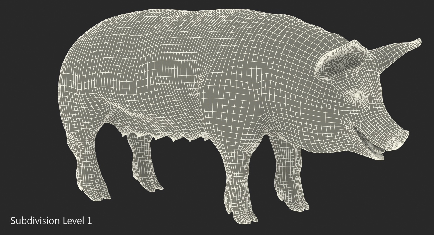 Pig Sow Peitrain Rigged with Fur 3D