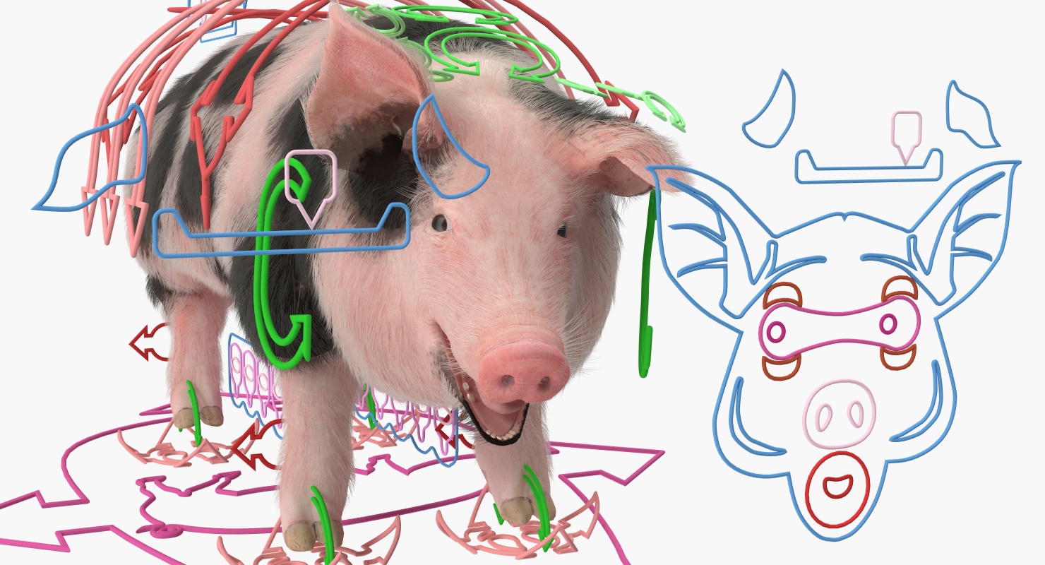 Pig Sow Peitrain Rigged with Fur 3D