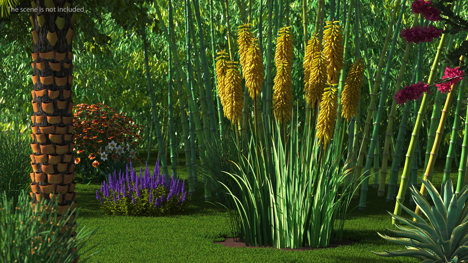 3D Kniphofia Poco Yellow