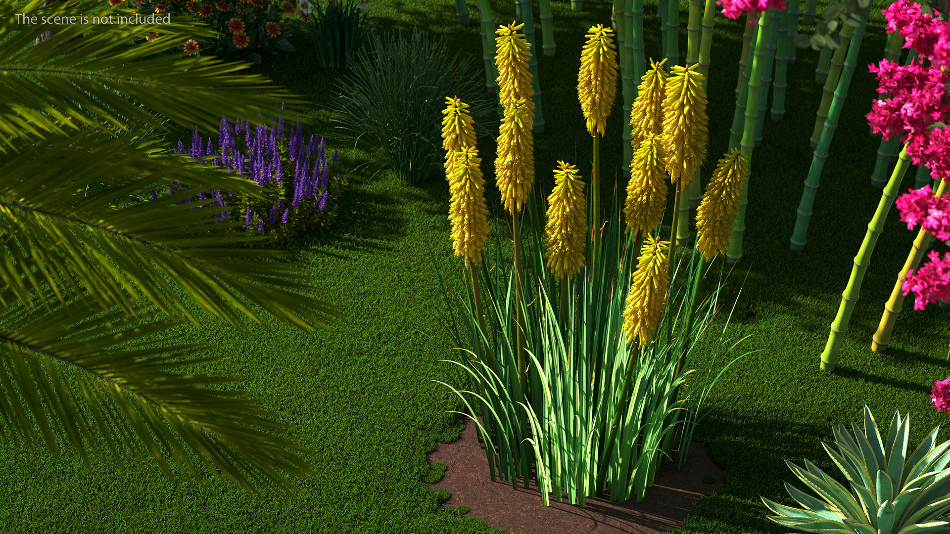 3D Kniphofia Poco Yellow