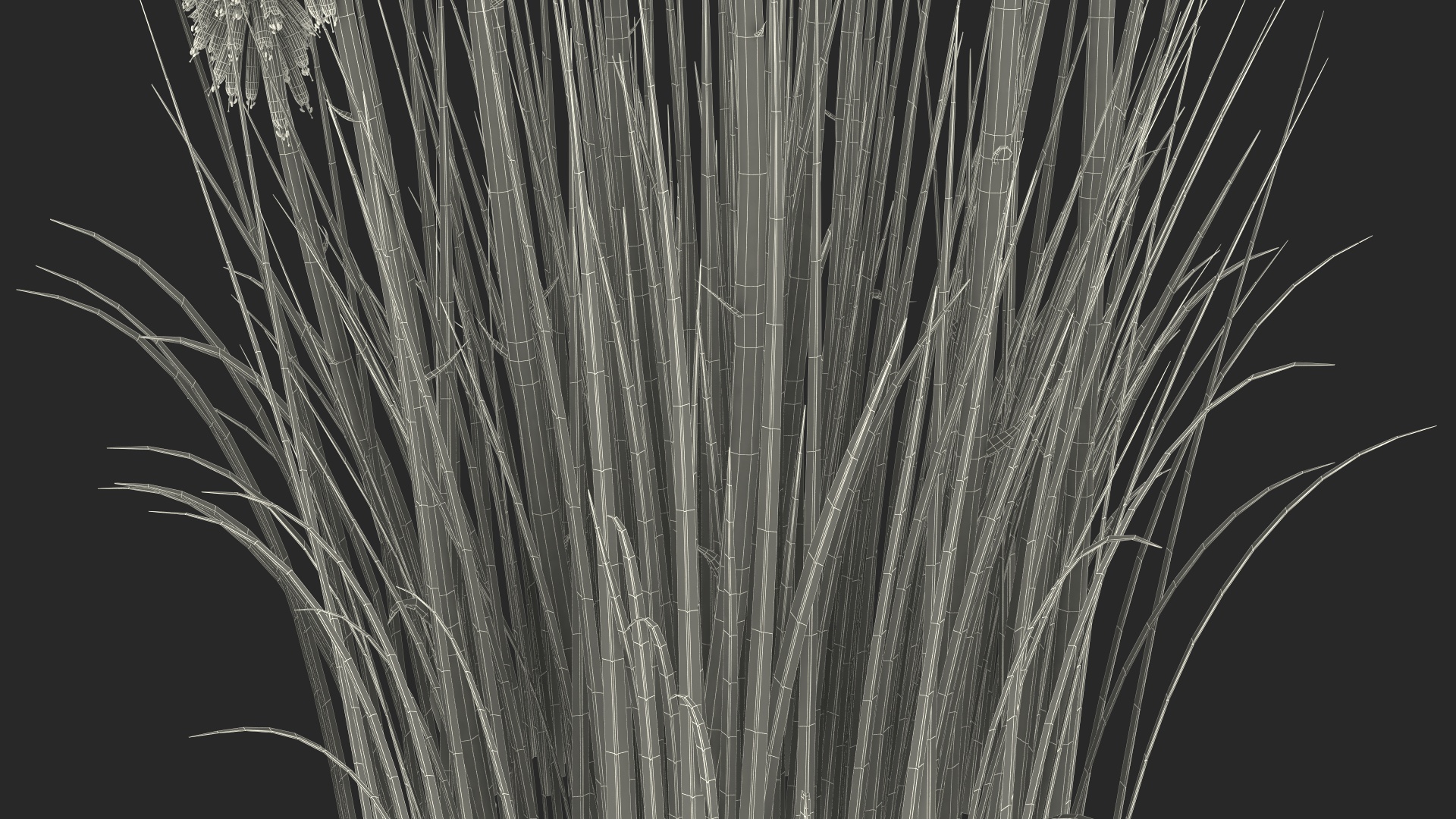 3D Kniphofia Poco Yellow