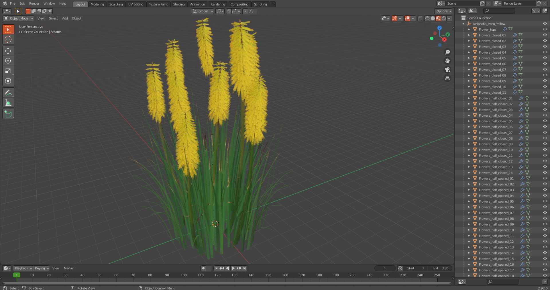3D Kniphofia Poco Yellow